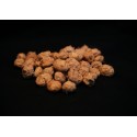 LARGE tiger nuts